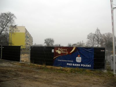 06.jpg