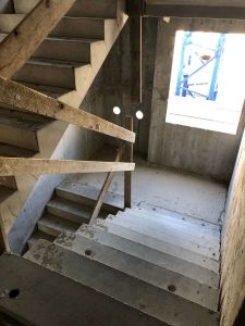 IMG_6529.jpg