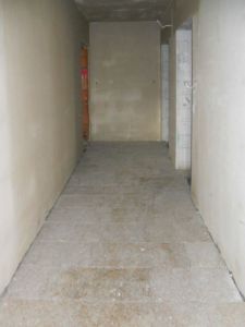 DSCN0413.jpg