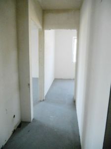 DSCN0343.jpg